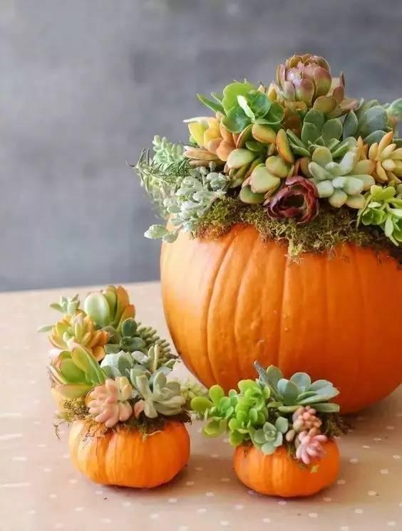 花花吃瓜娱乐求关注版,揭秘娱乐圈幕后故事，只为博君一笑