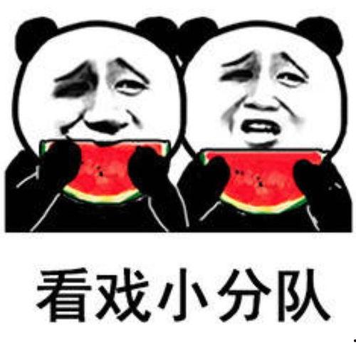 搞笑娱乐吃瓜图片表情包,笑料横生！搞笑娱乐吃瓜表情包大盘点