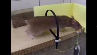 娱乐吃瓜说酱,吃瓜说酱带你揭秘幕后故事